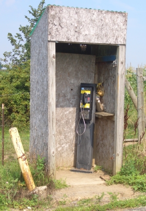 amish-pay-phone.jpg