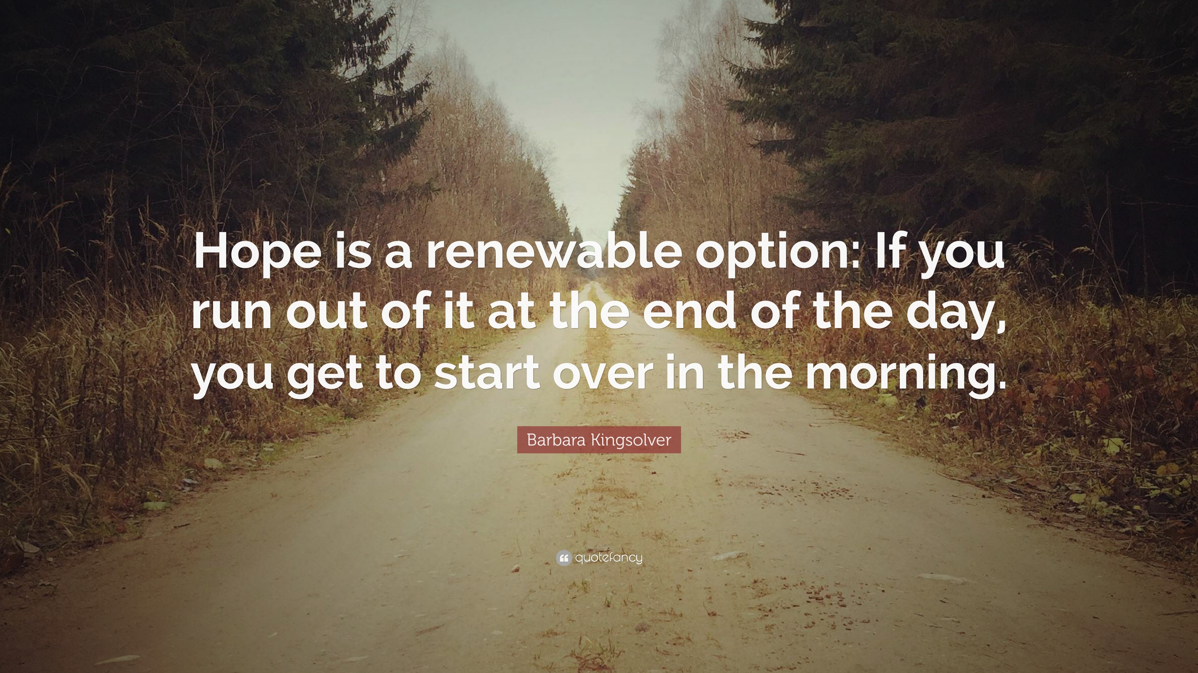 332442-Barbara-Kingsolver-Quote-Hope-is-a-renewable-option-If-you-run-out.jpg