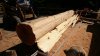 sawmill bark yamalube 660 004.JPG