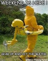 b21f5bea2ce95f9a657e835d2fa996e8--fishing-meme-fishing-quotes.jpg