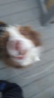 20171208_163750.jpg