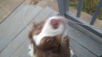 20171208_163752.jpg