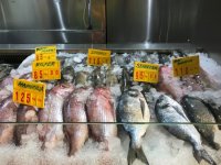 fresh-fish-counter.jpg