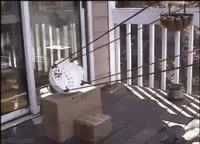 524732AC-85E1-413C-A407-D5CA62227DA9.gif