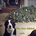 dog_xmas_tree_fainted_by_popeyetheob-d8aqpw4.jpg dog_xmas_tree_fainted_by_popeyetheob-d8aqpw4.jpg
