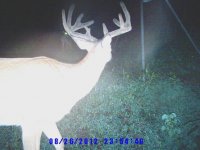 dad2012deer.jpg