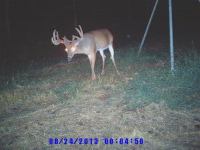 deerbb 2013 135.jpg_thumb.png