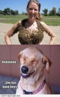 4a54ead17fcfcdd0ba9cfb8504fc6193--wet-meme-funny-dogs.jpg