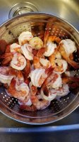 08E235D2-ED42-4CEA-A31C-0D9A0425B8CA.jpeg