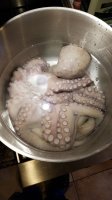 IMG-20171224-WA0038.jpeg
