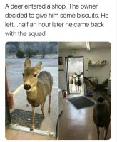 funniest-memes-to-wrap-up-the-week-30-photos-21.jpg