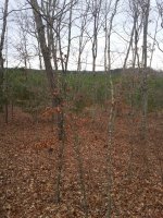 20171224_153532.jpg