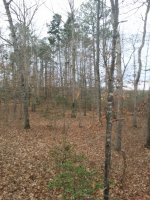 20171224_153538.jpg