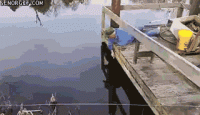 8B2E1F75-AF59-4DCB-84EA-B532C5A02535.gif