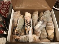 IMG_1869.JPG IMG_1869.JPG