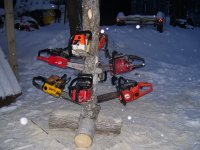 chainsaw tree 12-8-13 014.jpg