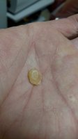 IMG_20171226_113113654.jpg