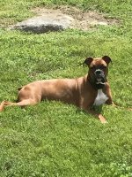 42D4BAB6-F8F8-4720-8E01-578BED7EF16F.jpeg 42D4BAB6-F8F8-4720-8E01-578BED7EF16F.jpeg