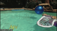 C1BB7D58-FC7D-49B0-9A41-5268507FD008.gif