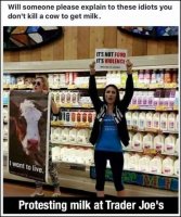 idiots-fails-morons-stupid-dumb-darwin-awards-19.jpg