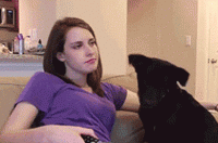 All+bark+no+bite+overly+attached+do+nope_12e95f_4726365.gif