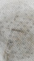 3272485B-D953-41F3-8C9C-837254C6C21C.jpeg