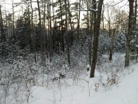 IMG_20180112_162928014.jpg