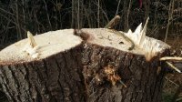 20171208_110252.jpg