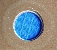 Different ID.jpg