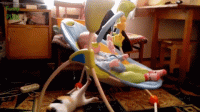 427E9F04-E109-45BA-BE87-0FFD05242E1E.gif