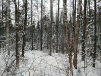 IMG_20180124_161355408.jpg
