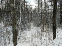IMG_20180124_161647781.jpg