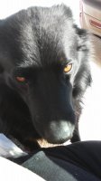 20180103_133830.jpg