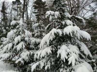IMG_20180124_162016571.jpg