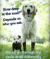 you-make-me-smile-meme-59d419c4c8860.jpg