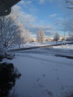 20180126_082435.jpg