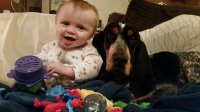 IMG-20180101-WA0000.jpg