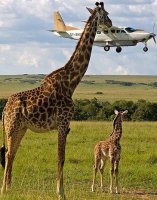 14-photos-that-couldnt-have-been-timed-better_10.jpg