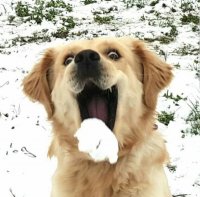 with-a-perfect-photo-timing-is-everything-22.jpg
