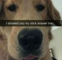 85570382.jpg