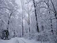 20180202_080837.jpg