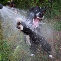 when-you-are-super-thirsty-and-finally-drink-some-water.jpg
