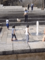 daily-morning-awesomeness-35-photos-33.gif