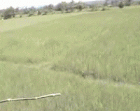 B4DBF35D-7DEB-4A3A-9FD8-A74CBBD68CD3.gif