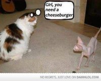 FB_IMG_1508374053868.jpg