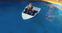 daily-morning-awesomeness-dma-photos-25.gif