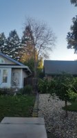 20180215_074546.jpg