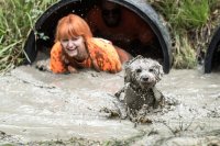 muddy_dog_image.jpeg