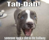 tah-dah-someone-took-a-*s-word-in-the-hallway.jpg