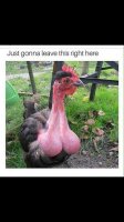 FB_IMG_1519175787026.jpg